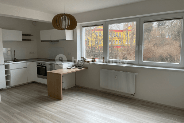 1 bedroom with open-plan kitchen flat to rent, 54 m², U Staré elektrárny, Ostrava