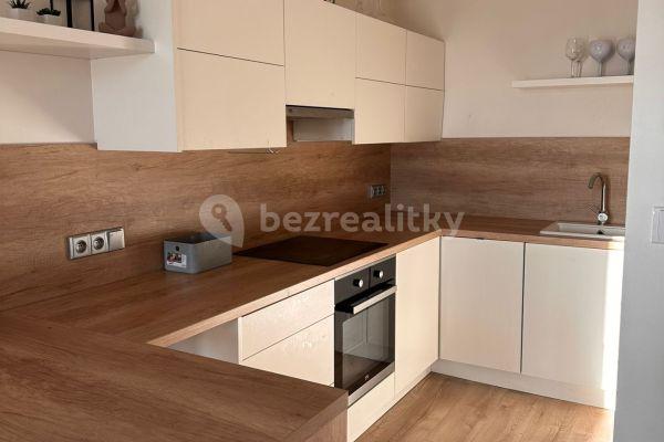 1 bedroom with open-plan kitchen flat to rent, 49 m², Jablonecká, Praha