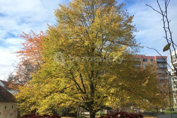 1 bedroom flat to rent, 38 m², Na Hranicích, Praha 1 bedroom flat to rent, 38 m², Na Hranicích, Praha