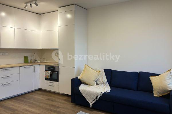 Studio flat to rent, 32 m², K Horkám, Hlavní město Praha