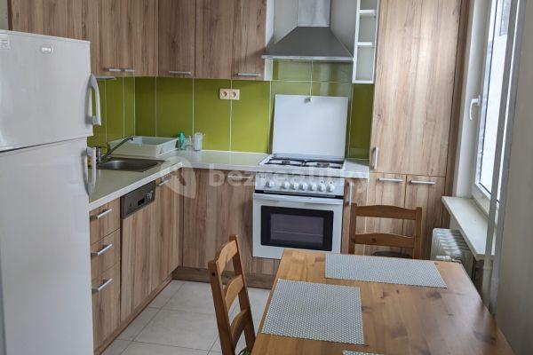 1 bedroom with open-plan kitchen flat to rent, 40 m², Havlínova, Praha