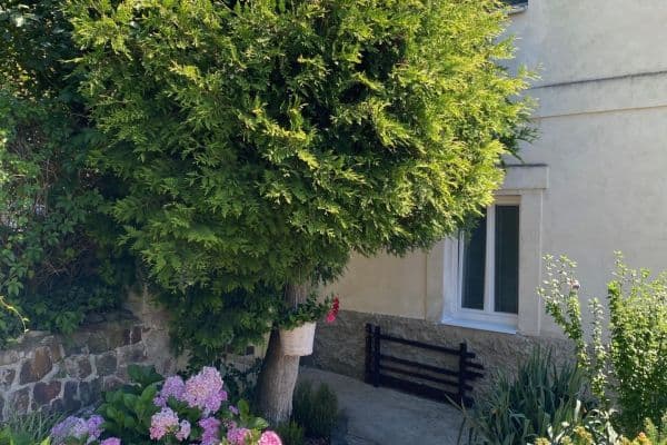 2 bedroom flat to rent, 63 m², U Potoka, Všenory 2 bedroom flat to rent, 63 m², U Potoka, Všenory