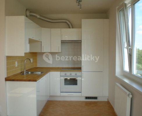 1 bedroom with open-plan kitchen flat to rent, 68 m², Jurkovičova, Praha