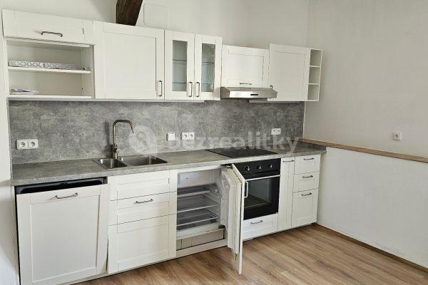 1 bedroom with open-plan kitchen flat to rent, 60 m², Pekařská, Brno