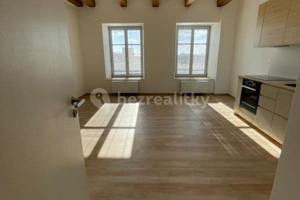 1 bedroom with open-plan kitchen flat to rent, 63 m², Opuštěná, Brno 1 bedroom with open-plan kitchen flat to rent, 63 m², Opuštěná, Brno