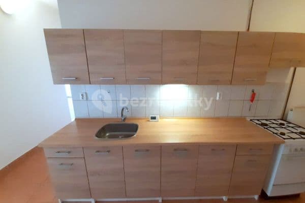 2 bedroom with open-plan kitchen flat to rent, 55 m², Za Poštou, Praha 2 bedroom with open-plan kitchen flat to rent, 55 m², Za Poštou, Praha