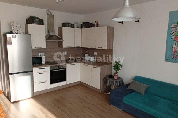 1 bedroom with open-plan kitchen flat for sale, 45 m², Klaricova, České Budějovice
