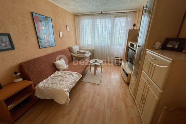 1 bedroom with open-plan kitchen flat for sale, 42 m², Novodvorská, Praha