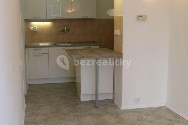 1 bedroom with open-plan kitchen flat to rent, 43 m², Josefinino údolí, Liberec