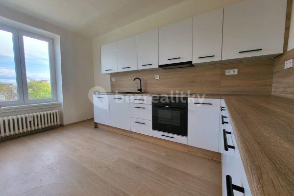 1 bedroom with open-plan kitchen flat to rent, 57 m², Mánesova, 