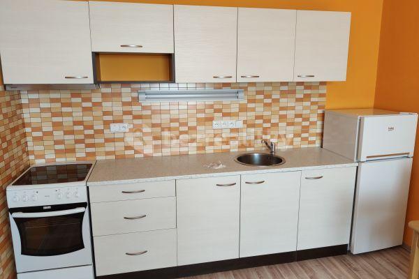 1 bedroom with open-plan kitchen flat to rent, 35 m², Venhudova, Brno