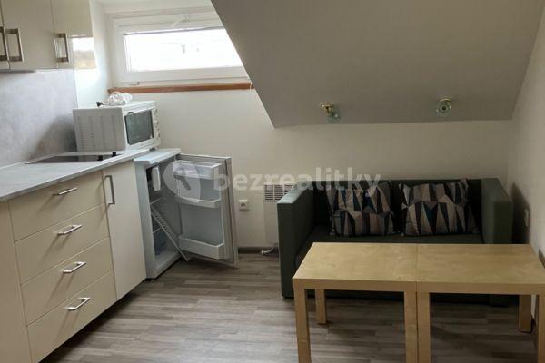 1 bedroom with open-plan kitchen flat to rent, 31 m², Za Pasáží, Pardubice