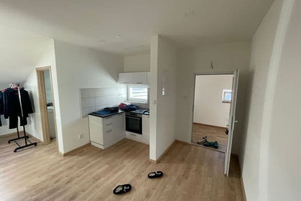 1 bedroom with open-plan kitchen flat to rent, 1 m², Rostoklaty 1 bedroom with open-plan kitchen flat to rent, 1 m², Rostoklaty