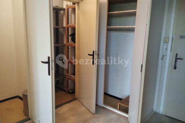 1 bedroom with open-plan kitchen flat to rent, 44 m², Arménská, Brno