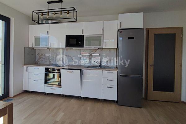 1 bedroom with open-plan kitchen flat to rent, 57 m², V Náklích, Praha
