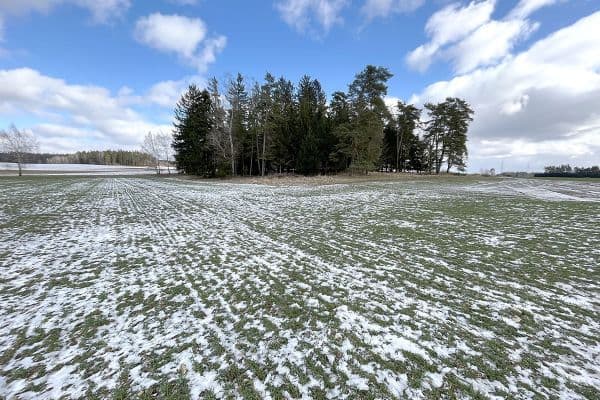 Plot for sale Plot for sale