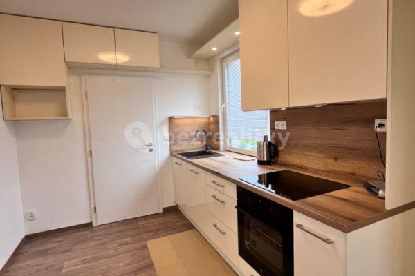 1 bedroom with open-plan kitchen flat to rent, 35 m², Bryksova, Praha
