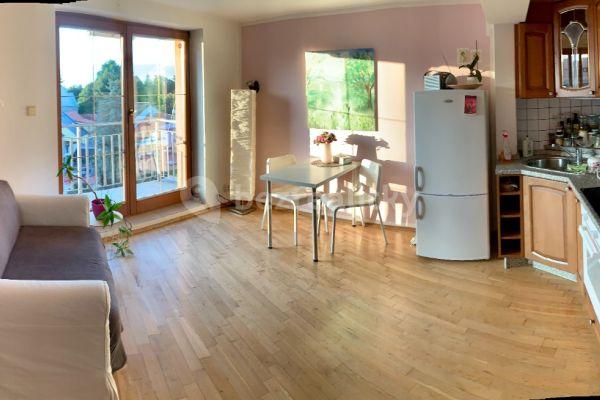 2 bedroom with open-plan kitchen flat to rent, 60 m², Husovo náměstí, Tábor