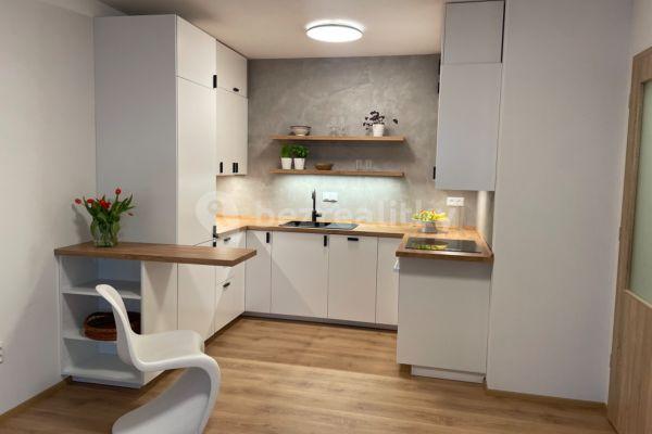 1 bedroom with open-plan kitchen flat to rent, 50 m², Na Výsluní, Boskovice