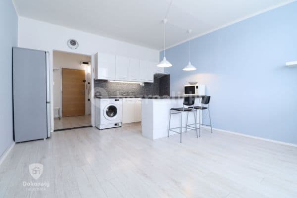 1 bedroom with open-plan kitchen flat to rent, 48 m², Gabinova, 