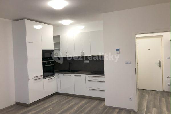 1 bedroom with open-plan kitchen flat to rent, 46 m², Novodvorská, Brno