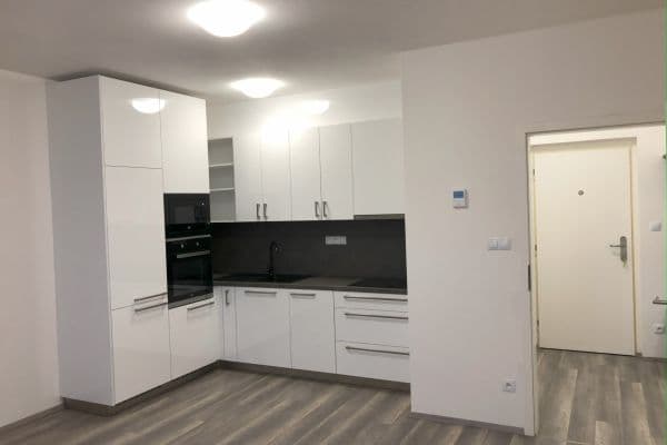 1 bedroom with open-plan kitchen flat to rent, 46 m², Novodvorská, Brno 1 bedroom with open-plan kitchen flat to rent, 46 m², Novodvorská, Brno