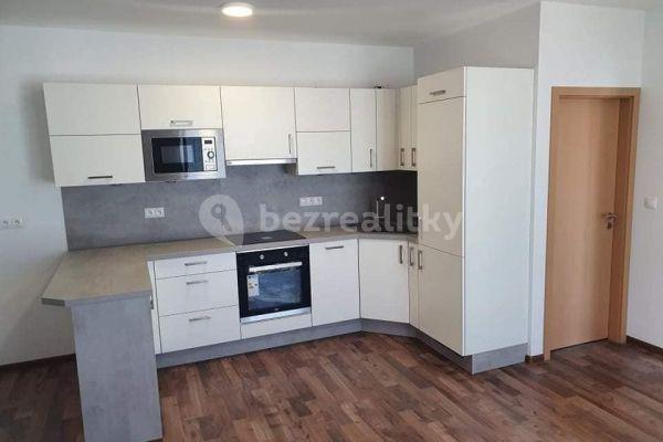 1 bedroom with open-plan kitchen flat for sale, 43 m², Havránkova, Brno