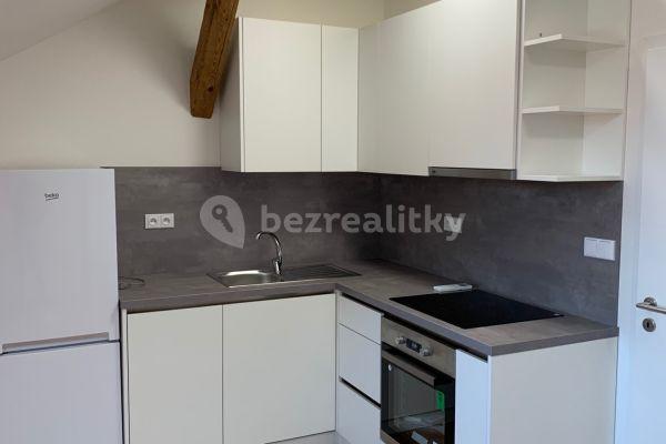 1 bedroom with open-plan kitchen flat to rent, 49 m², Chlumova, Prague, Prague
