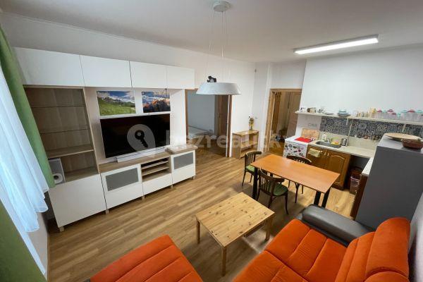 1 bedroom with open-plan kitchen flat to rent, 50 m², Rybářská, Brno