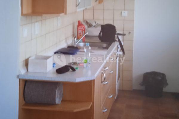 1 bedroom with open-plan kitchen flat to rent, 56 m², U Háječku, Sedlčany