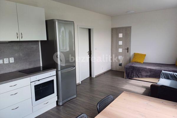 1 bedroom with open-plan kitchen flat to rent, 42 m², U Cukrovaru, Mratín