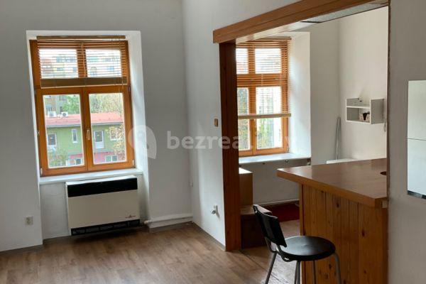 1 bedroom with open-plan kitchen flat to rent, 40 m², Pionýrská, Brno