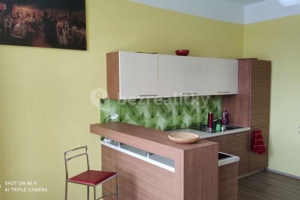 1 bedroom with open-plan kitchen flat to rent, 54 m², Mělnická, Mšeno