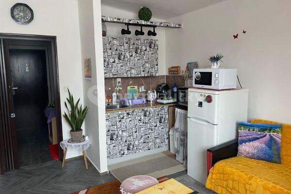 Studio flat to rent, 23 m², Krásnohorské, Náchod