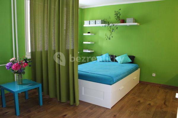 1 bedroom with open-plan kitchen flat to rent, 43 m², Milínská, Příbram