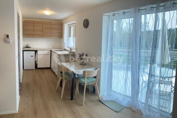 1 bedroom with open-plan kitchen flat to rent, 48 m², Olší, Brno
