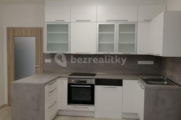 1 bedroom with open-plan kitchen flat to rent, 51 m², Oty Bubeníčka, Hlavní město Praha