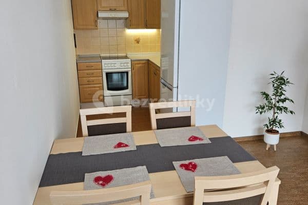 1 bedroom with open-plan kitchen flat to rent, 42 m², Praha