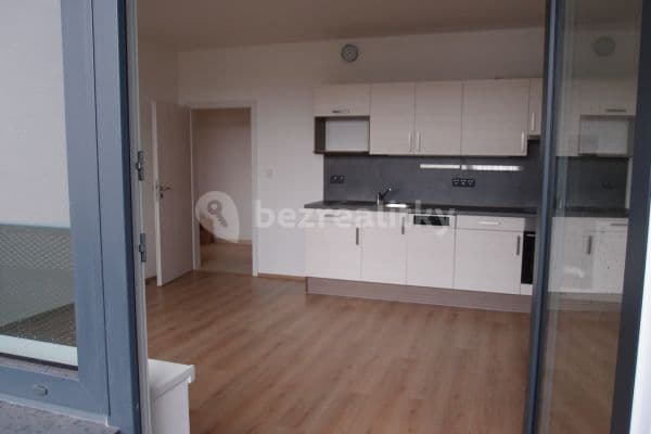 1 bedroom with open-plan kitchen flat to rent, 49 m², Cukrova, Praha