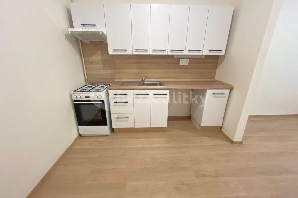 1 bedroom with open-plan kitchen flat to rent, 50 m², Lípová, 