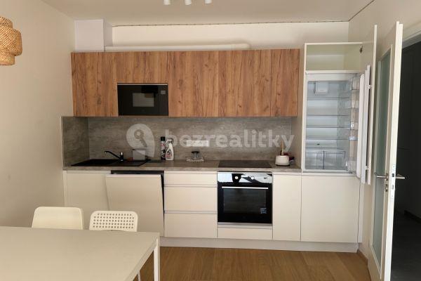 1 bedroom with open-plan kitchen flat to rent, 55 m², Olgy Havlové, Praha