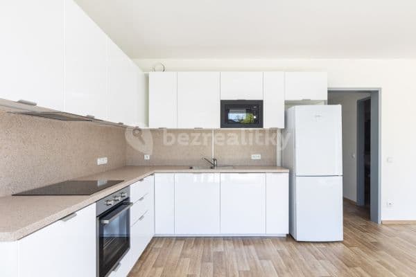 1 bedroom with open-plan kitchen flat to rent, 59 m², Rychnovská, 