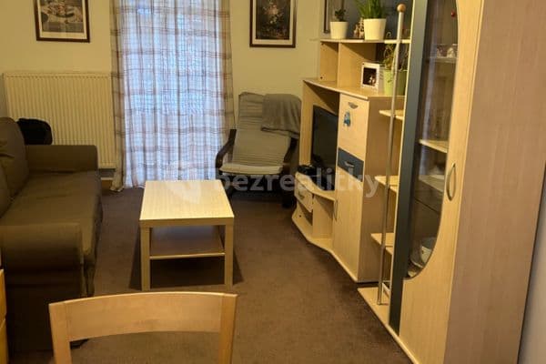 1 bedroom with open-plan kitchen flat to rent, 46 m², Pechlátova, Hlavní město Praha