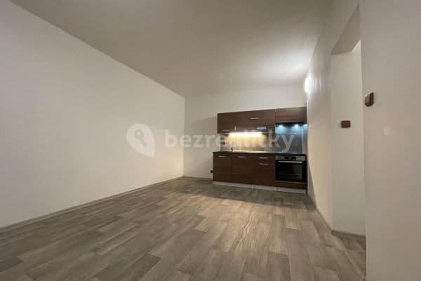 1 bedroom with open-plan kitchen flat to rent, 51 m², Horymírova, Ostrava