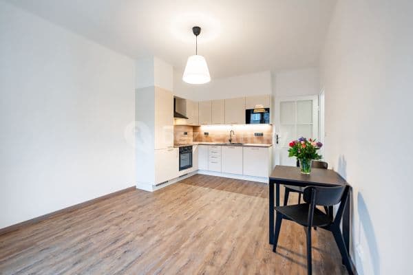 1 bedroom with open-plan kitchen flat to rent, 46 m², Baranova, Prague, Prague