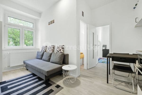 2 bedroom with open-plan kitchen flat for sale, 33 m², Krčínova, 