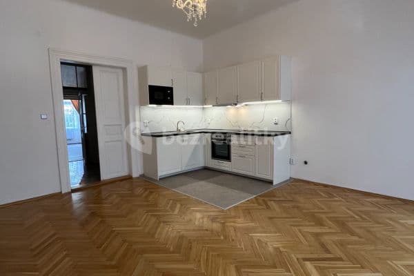 1 bedroom with open-plan kitchen flat to rent, 58 m², Šumavská, Praha