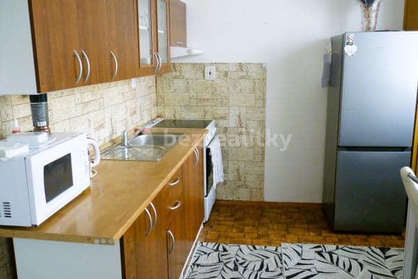 1 bedroom with open-plan kitchen flat for sale, 44 m², Jana Švermy, 