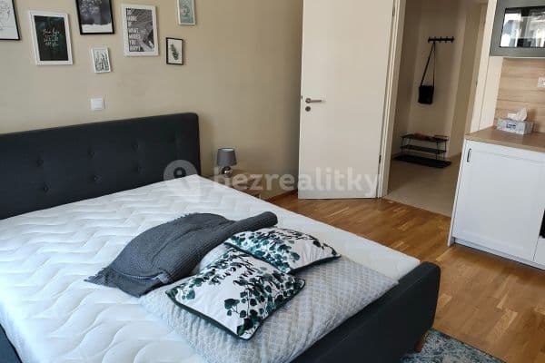 Studio flat to rent, 24 m², Tyršova, Prague, Prague