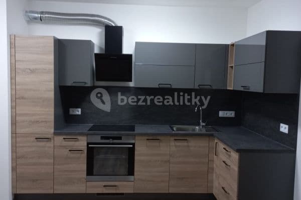 1 bedroom with open-plan kitchen flat to rent, 47 m², Chvalovka, Brno, Jihomoravský Region